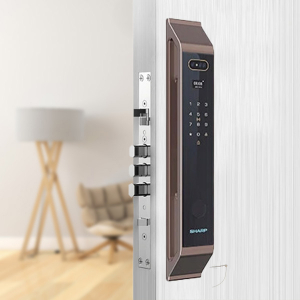 khóa cửa điện tử - Electronic Door Lock